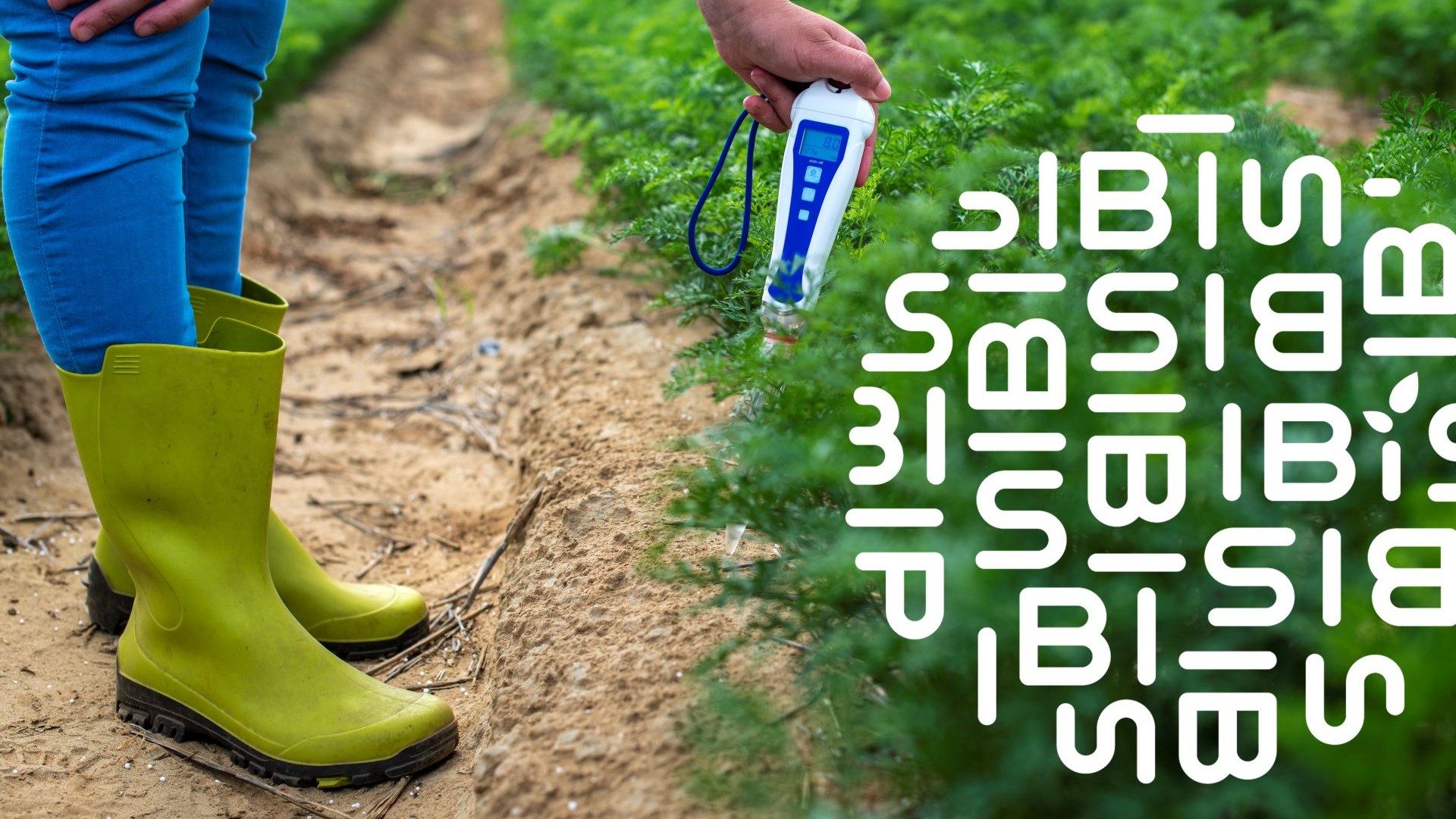 Person measuring soil with digital device