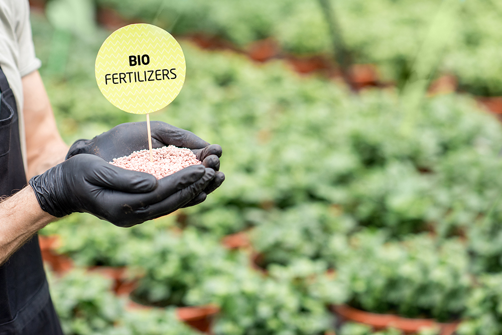 Close-up of hands holding mineral fertilizers